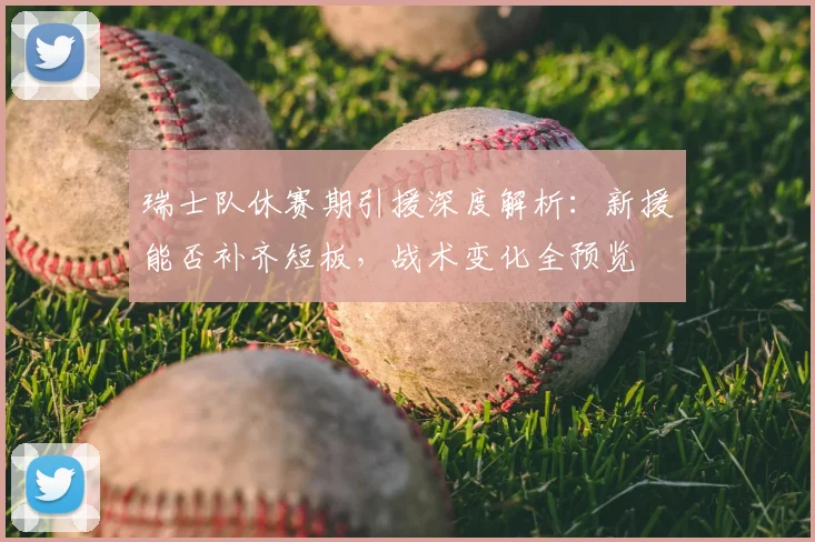 瑞士队休赛期引援深度解析：新援能否补齐短板，战术变化全预览