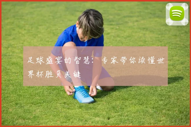 足球盛宴的智慧:专家带你读懂世界杯胜负关键