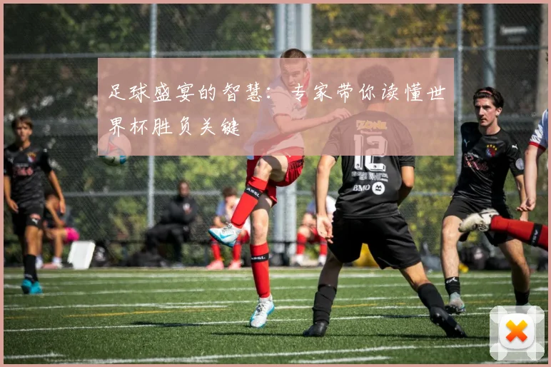 足球盛宴的智慧：专家带你读懂世界杯胜负关键
