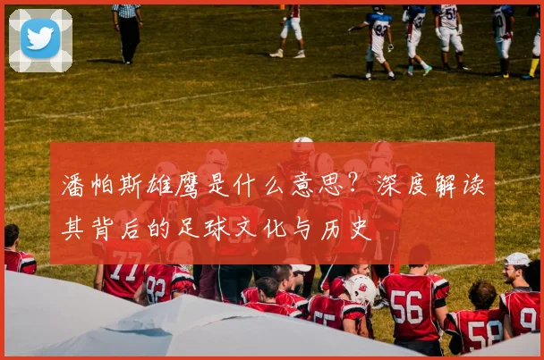 潘帕斯雄鹰是什么意思?深度解读其背后的足球文化与历史