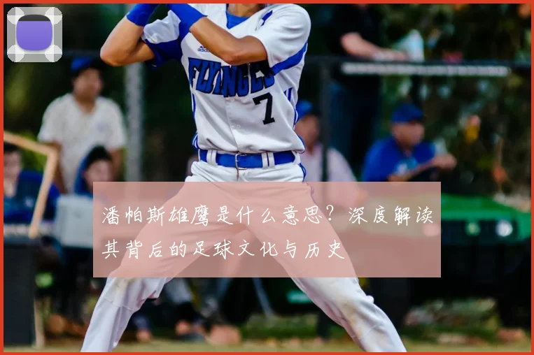 潘帕斯雄鹰是什么意思？深度解读其背后的足球文化与历史